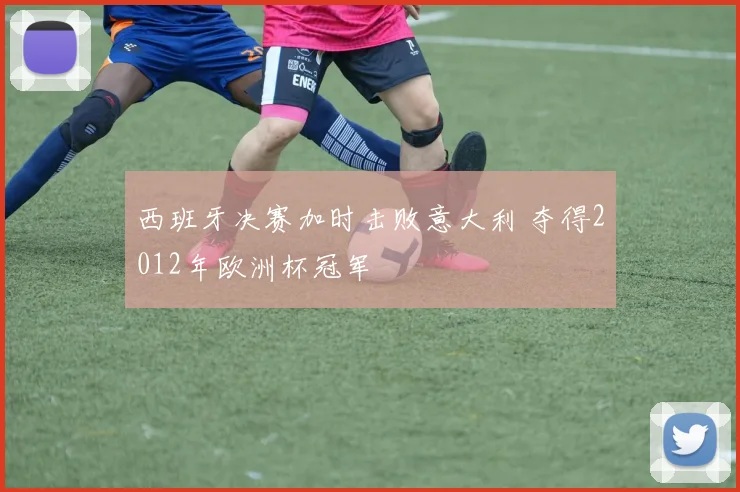 西班牙决赛加时击败意大利 夺得2012年欧洲杯冠军