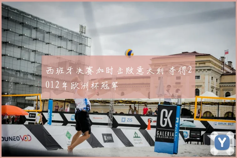 西班牙决赛加时击败意大利 夺得2012年欧洲杯冠军
