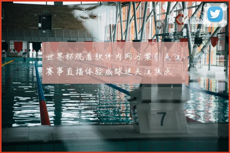 世界杯观看软件内网方案引关注，赛事直播体验成球迷关注焦点