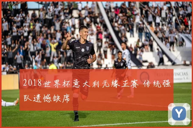 2018世界杯意大利无缘正赛 传统强队遗憾缺席