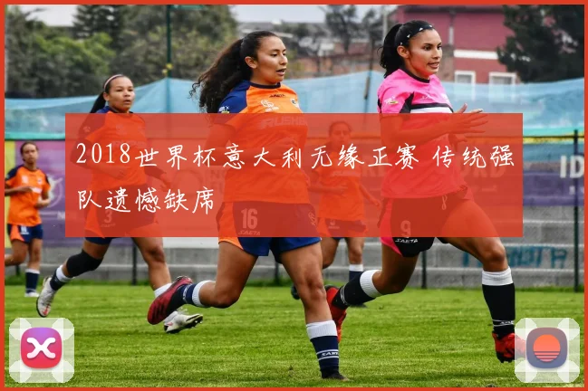 2018世界杯意大利无缘正赛 传统强队遗憾缺席