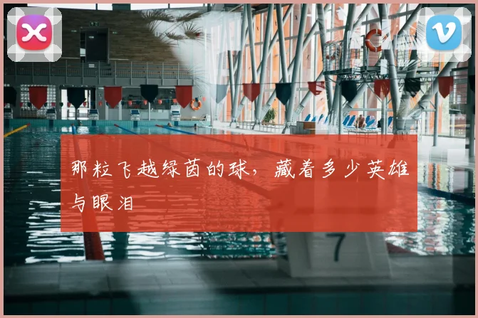 那粒飞越绿茵的球,藏着多少英雄与眼泪