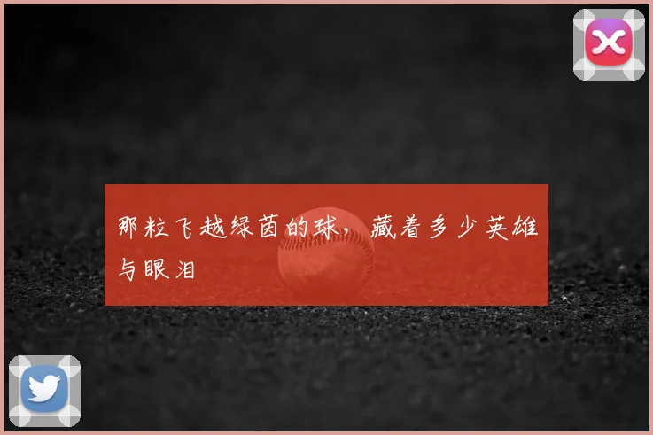 那粒飞越绿茵的球,藏着多少英雄与眼泪