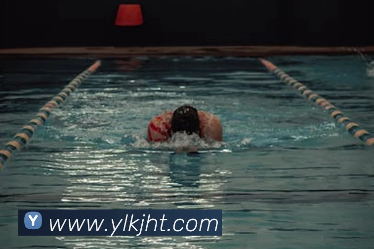 互动解说服务